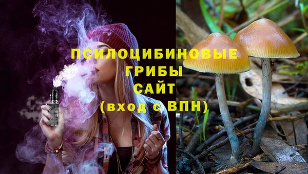 сатива Арсеньев