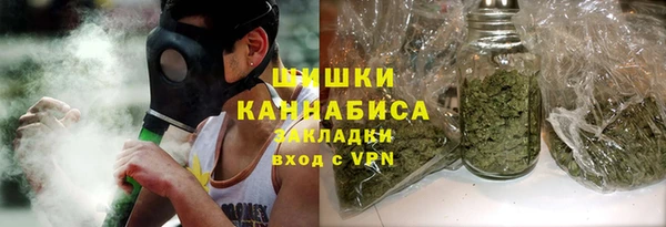 PSILOCYBIN Алзамай