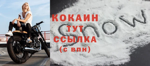 сатива Арсеньев